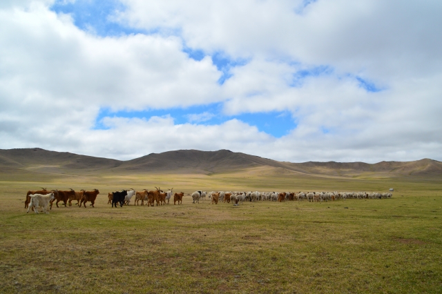モンゴル草原