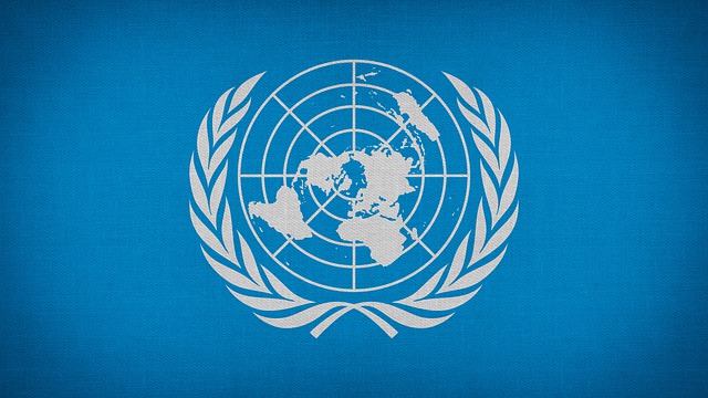 国際連合